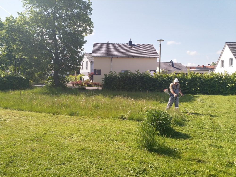 Mäharbeiten, auch wenn noch nix steht